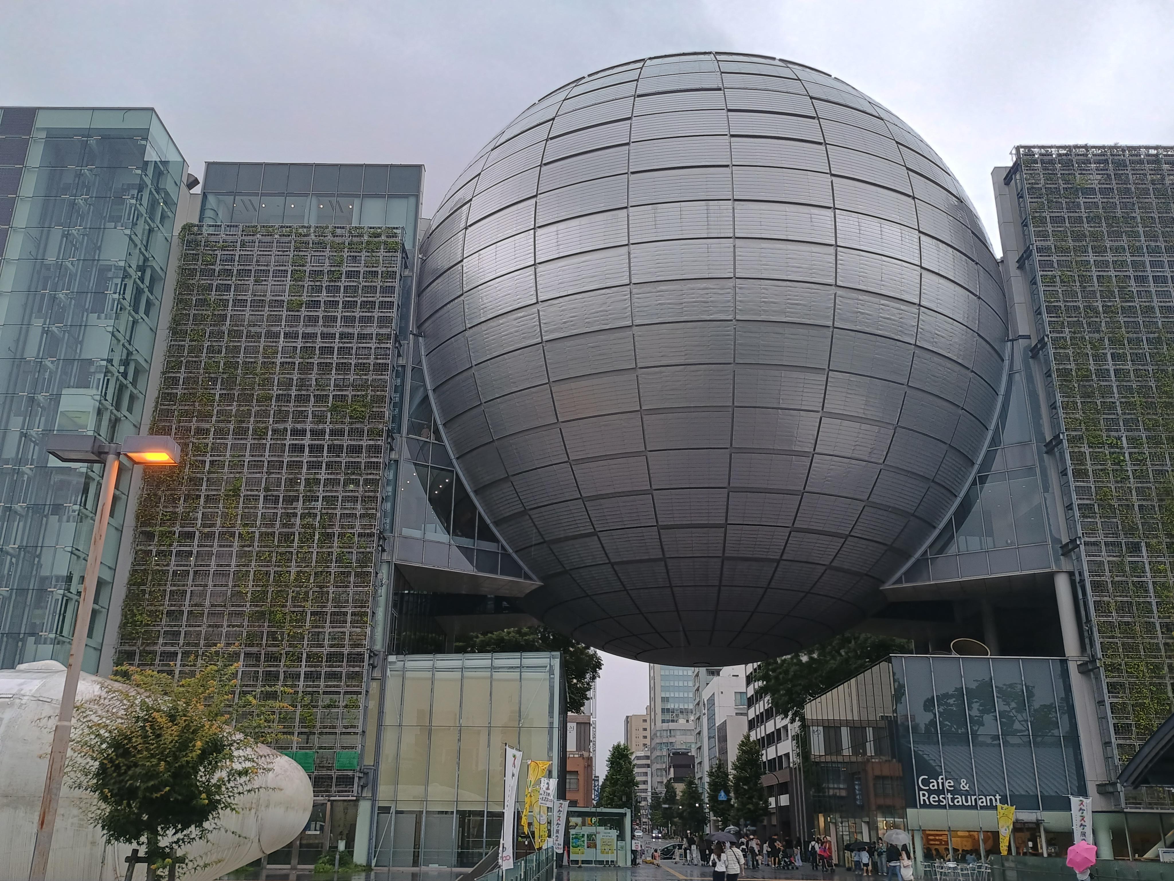 白川公园开阔草坪与林荫步道的全景