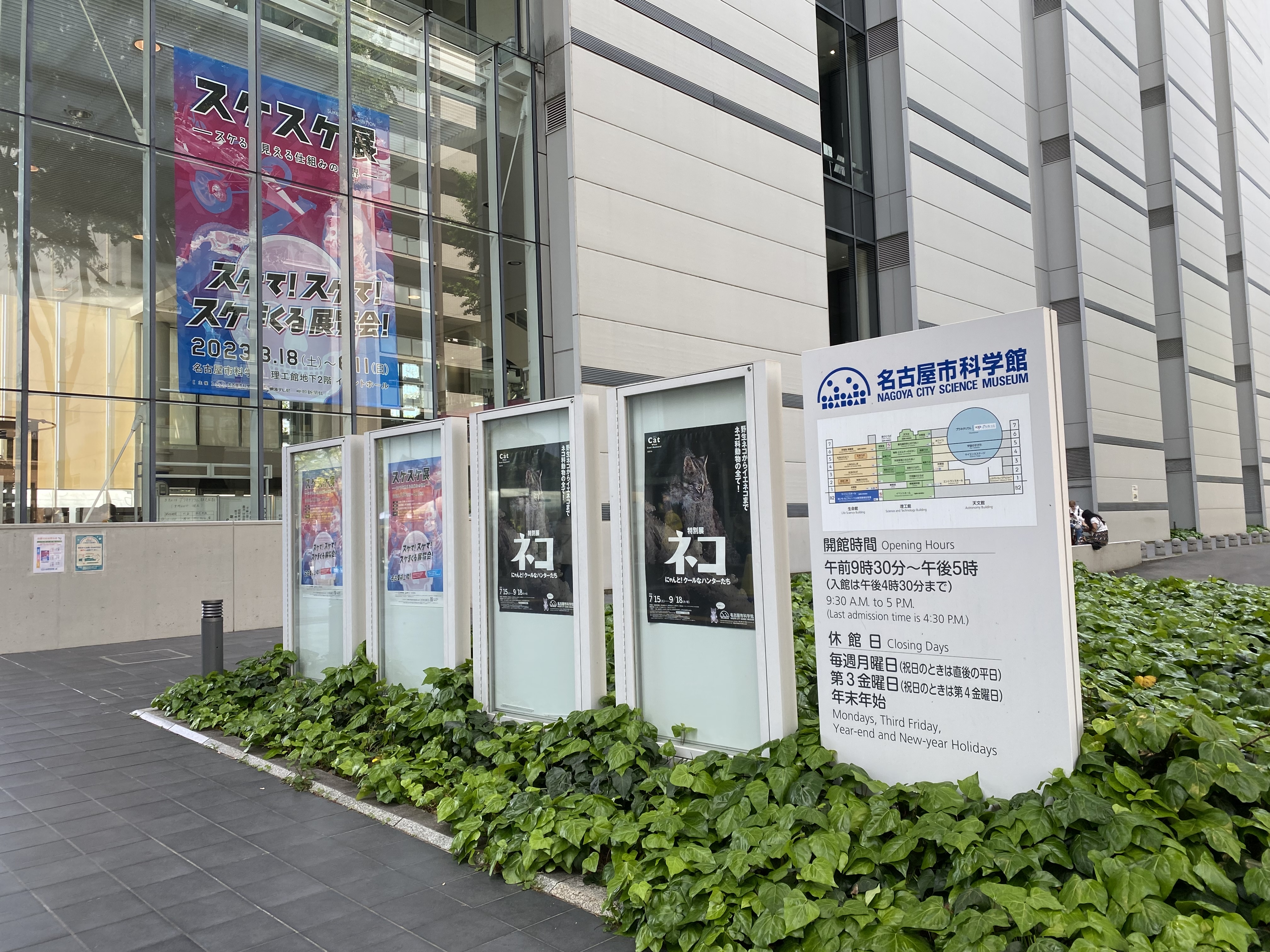 平坦步道上的骑行者与步行者