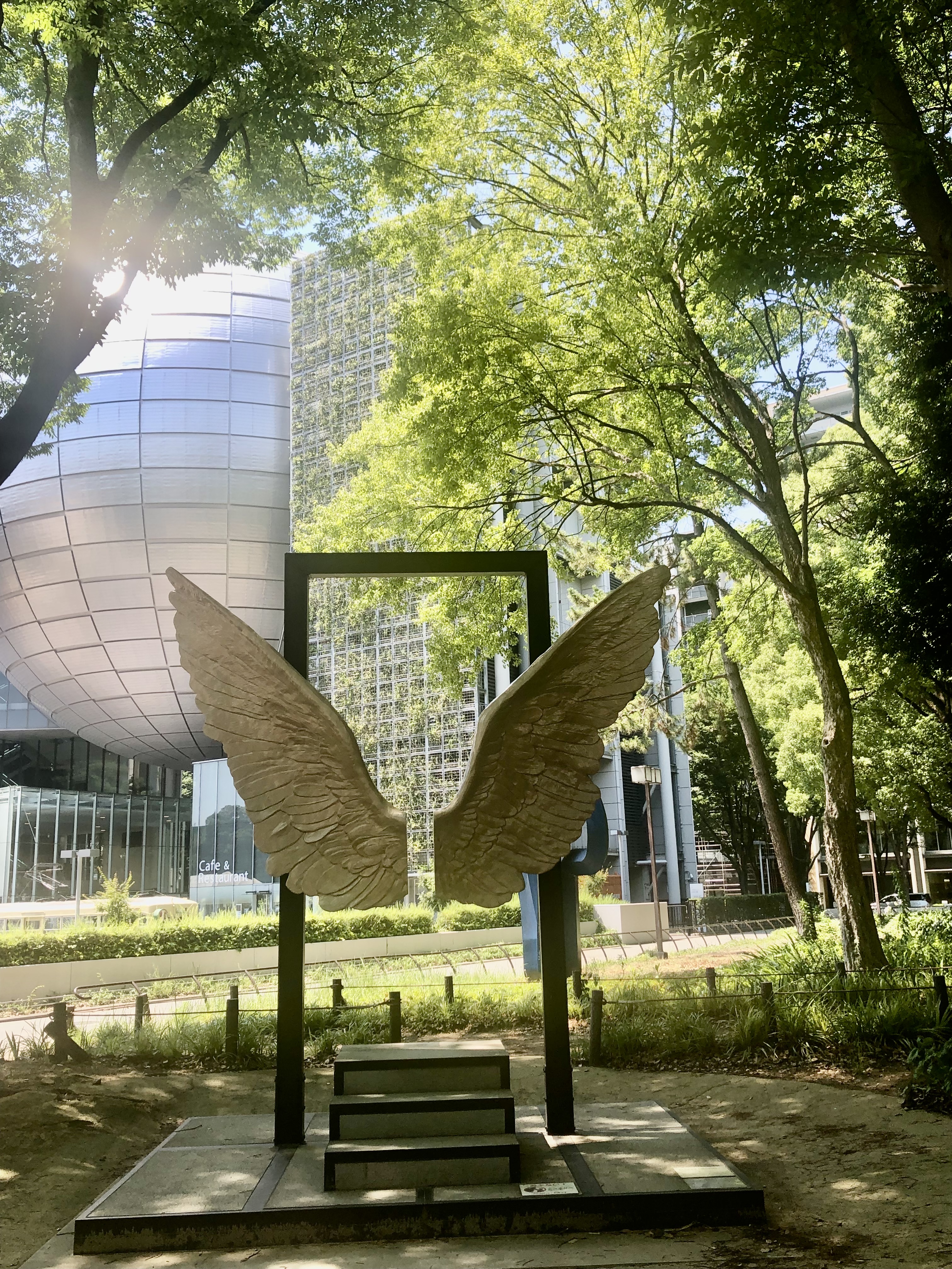 晴朗日子里公园的水景与喷泉